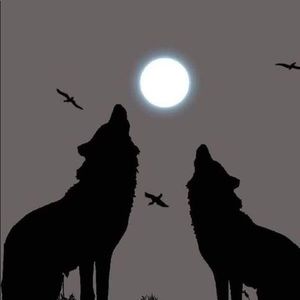 Meet your Posher, Sofia